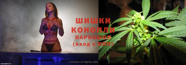 дмт Инсар