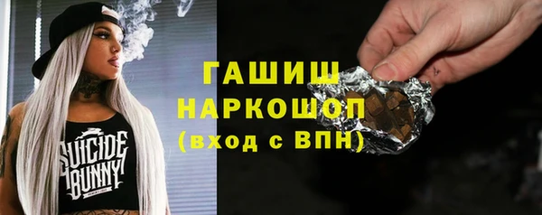 дмт Инсар