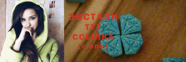 дмт Инсар