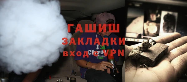 дмт Инсар