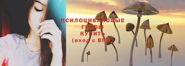 MDMA Premium VHQ Инта