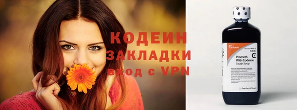 соль ск Иннополис