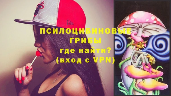 дмт Инсар
