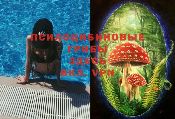 MDMA Premium VHQ Инта